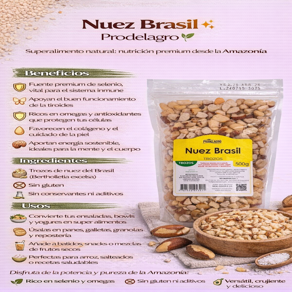 Nuez De Brasil - Prodelagro x500g