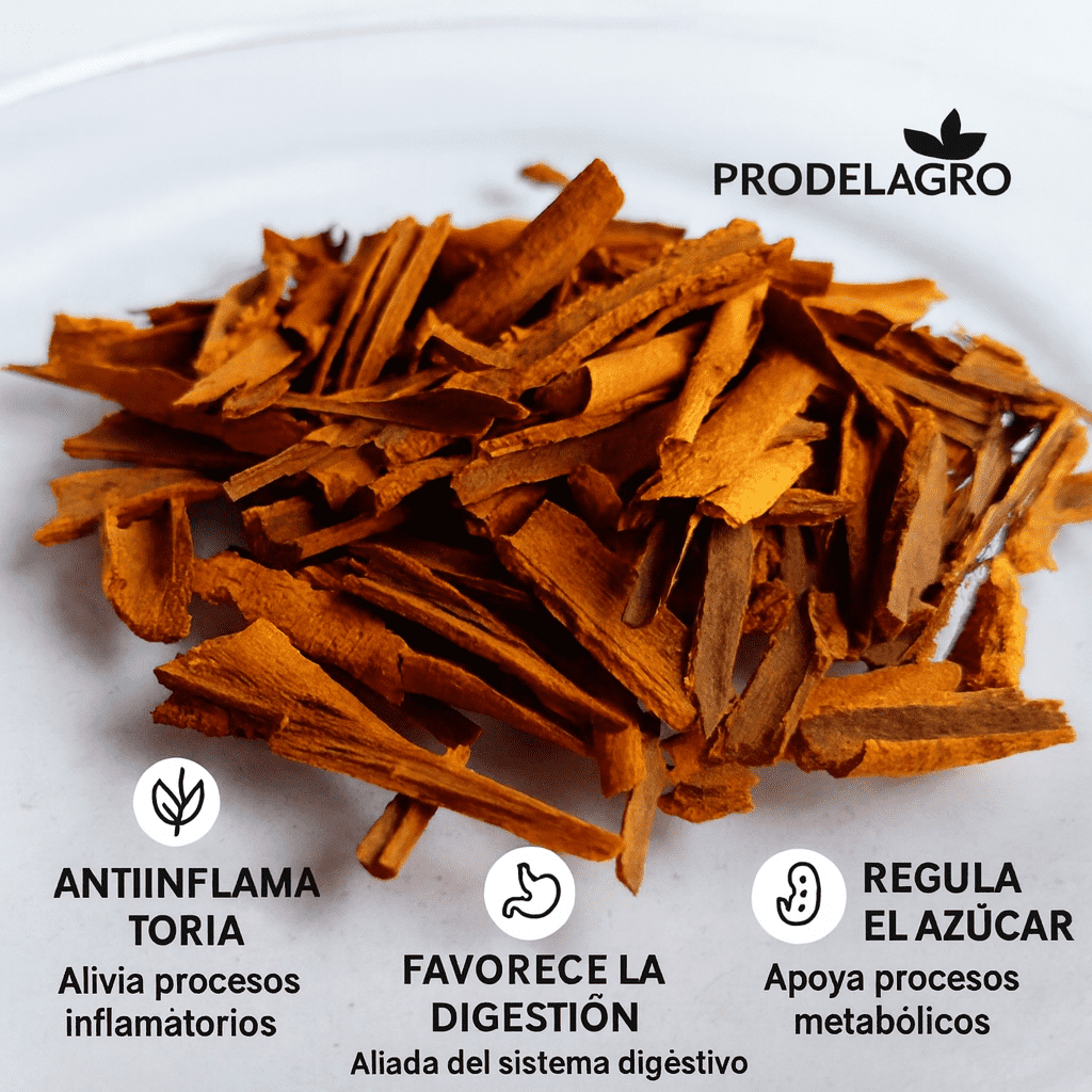 Canela En Astilla - Prodelagro x100g