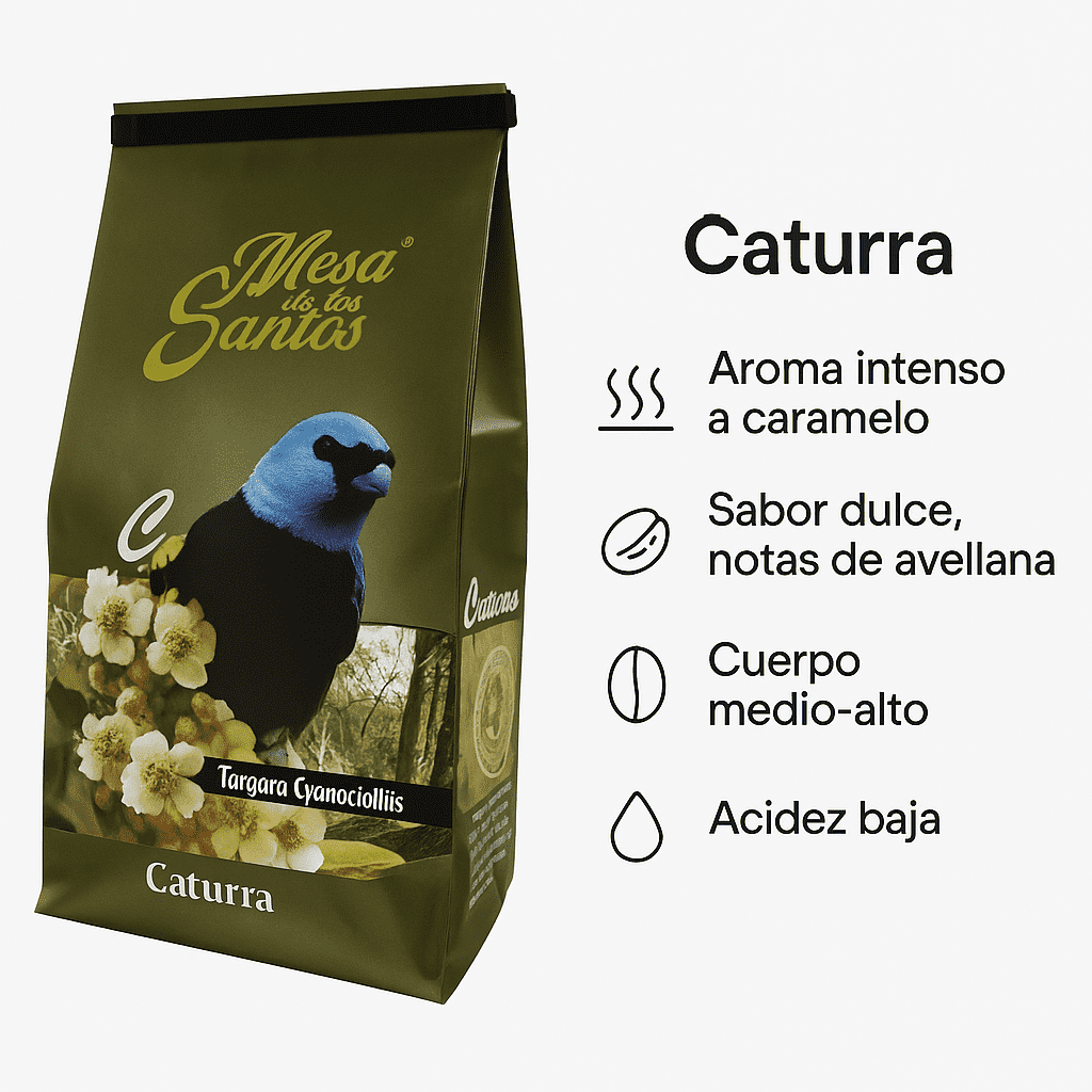 Caturra (Molido) - Café Mesa de los Santos x 340g