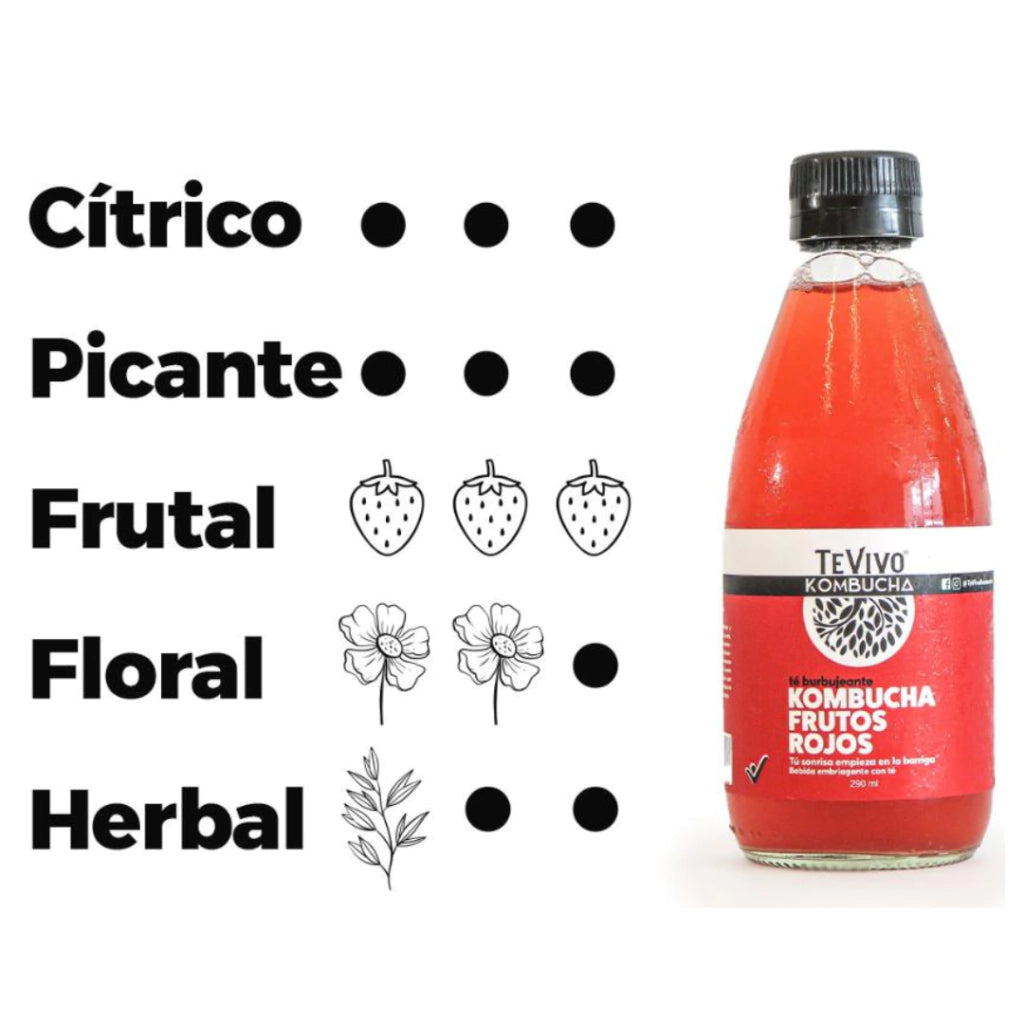 Kombucha Frutos Rojos - TeVivo x 290ml