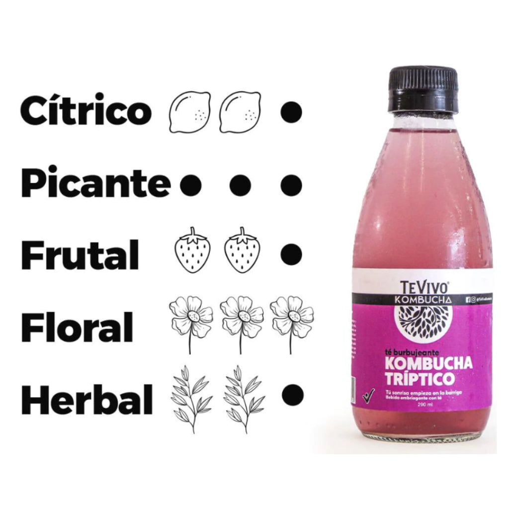 Kombucha Tríptico - TeVivo x 290ml