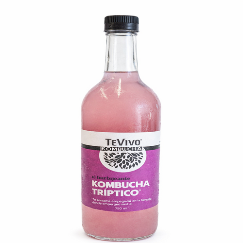 Kombucha Tríptico - TeVivo