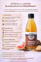 Kombucha La Colombiana - TeVivo x290ml