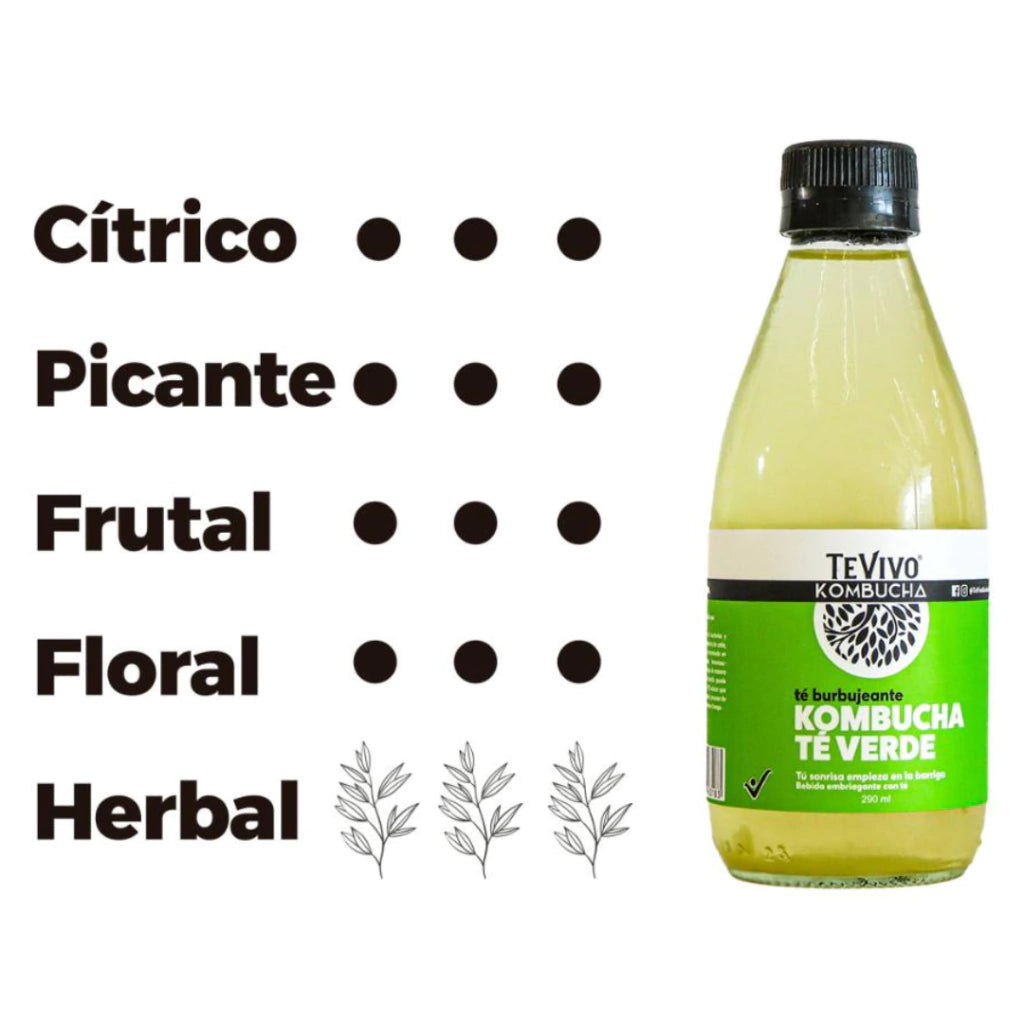 Kombucha Te Verde - TeVivo x 290ml