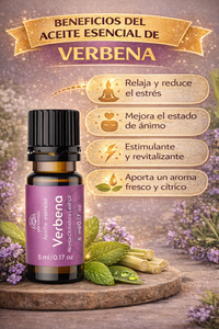 Verbena