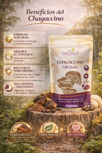 Chagaccino - Padam x100g