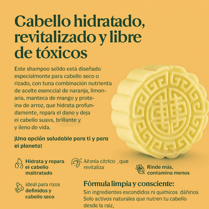 Shampoo sólido - Panavayu x85g