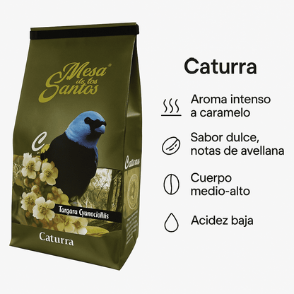 Caturra (Molido) - Café Mesa de los Santos x 340g