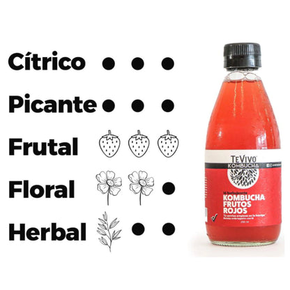 Kombucha Frutos Rojos - TeVivo x 290ml