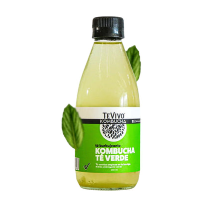 Kombucha Te Verde - TeVivo x 290ml