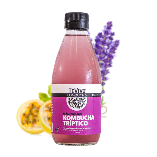Kombucha Tríptico - TeVivo x 290ml